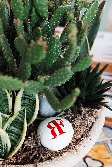 Close-up of cactus and succulent arrangement with a decorative “F” accent at a luxury Italian resort.
